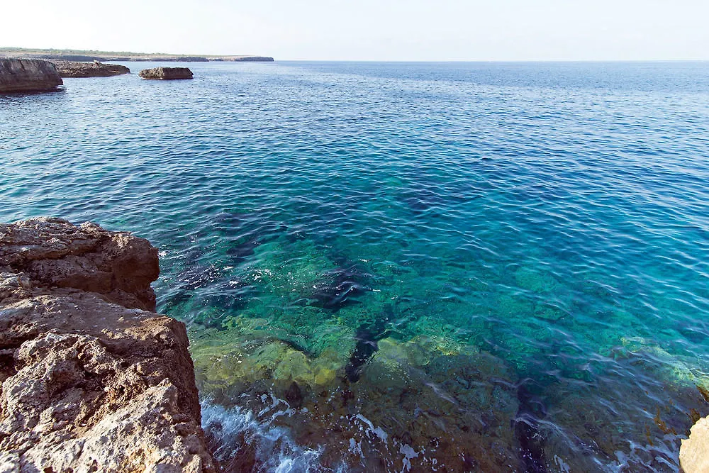 公寓 Cala Blanca Apartamentos 西班牙